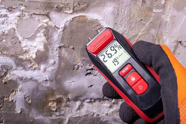  Timberline Fernwood, AZ Mold Removal Pros
